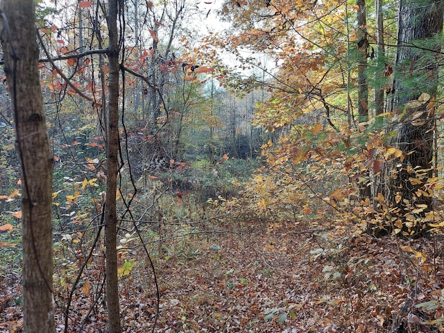1.76ACRES Sugar Maple Way, Del Rio, TN 37727
