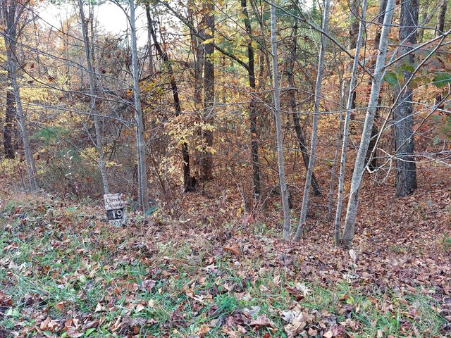 1.76ACRES Sugar Maple Way, Del Rio, TN 37727