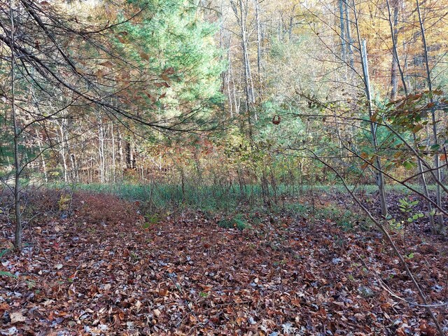 1.76ACRES Sugar Maple Way, Del Rio, TN 37727