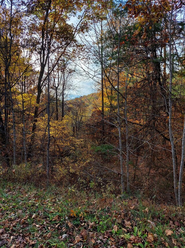 1.76ACRES Sugar Maple Way, Del Rio, TN 37727
