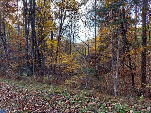1.76ACRES Sugar Maple Way, Del Rio, TN 37727