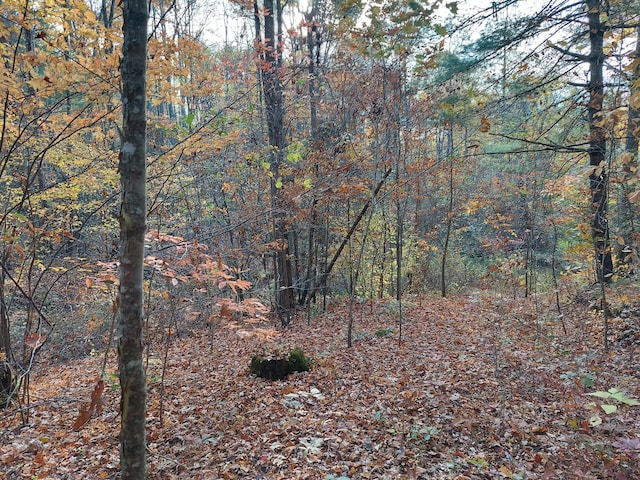 1.76ACRES Sugar Maple Way, Del Rio, TN 37727