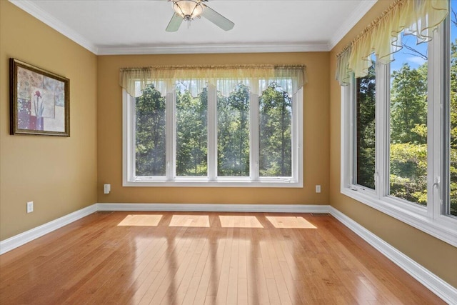 4018 Eagles Nest Dr, Morristown, TN 37813 - spare room featuring healthy amount of natural light, baseboards, and ornamental molding