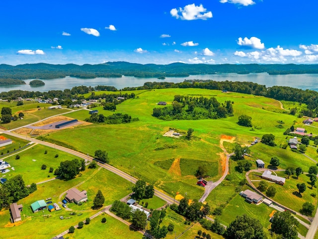 6031 Lakeshore Dr, Bean Station, TN 37708 - photo 10