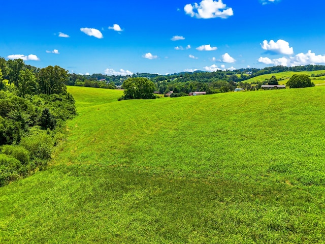 6031 Lakeshore Dr, Bean Station, TN 37708 - photo 5