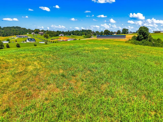 6031 Lakeshore Dr, Bean Station, TN 37708 - photo 6