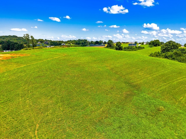 6031 Lakeshore Dr, Bean Station, TN 37708 - photo 3