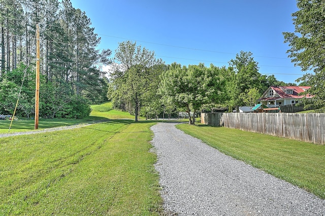 475 Kinser Park Ln, Greeneville, TN 37743 - photo 51