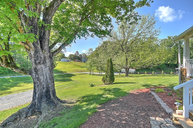 475 Kinser Park Ln, Greeneville, TN 37743 - photo 5