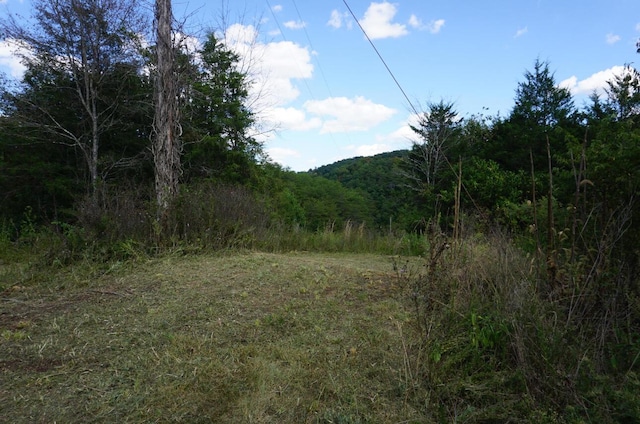 1420 Goodwater Rd, Bybee, TN 37713 - photo 3