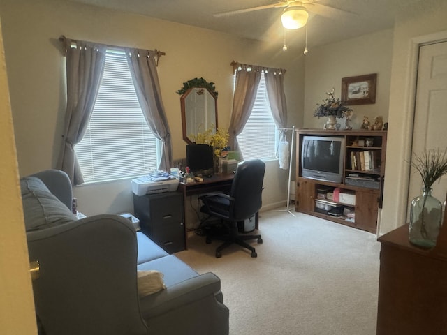 2629 Vista Dr, Talbott, TN 37877 - photo 13