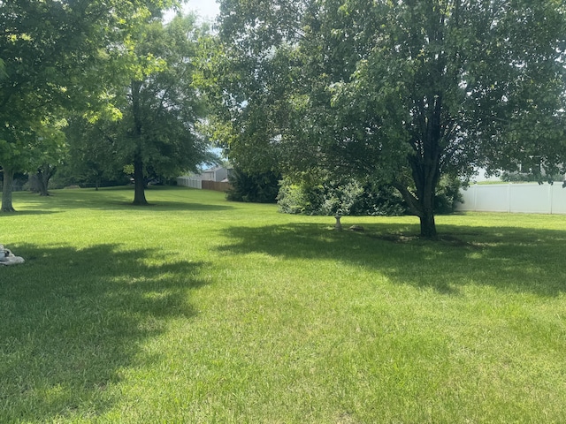 2629 Vista Dr, Talbott, TN 37877 - photo 24