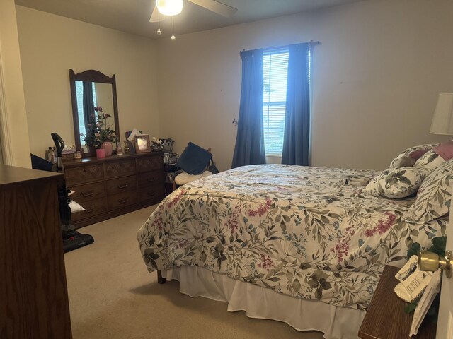 2629 Vista Dr, Talbott, TN 37877 - photo 12