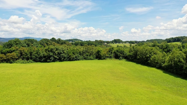 5085 Old Kentucky Rd, Morristown, TN 37814 - photo 22