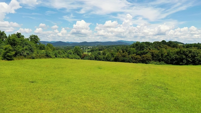 5085 Old Kentucky Rd, Morristown, TN 37814 - photo 19