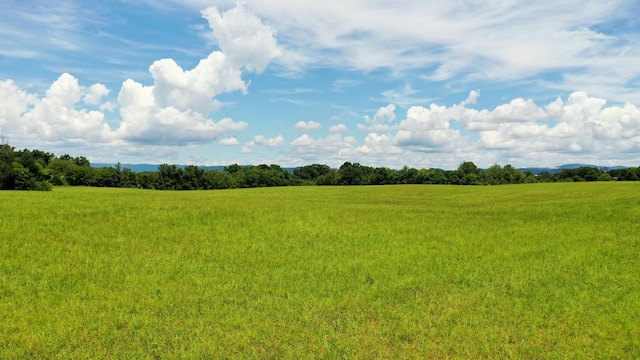 5085 Old Kentucky Rd, Morristown, TN 37814 - photo 13