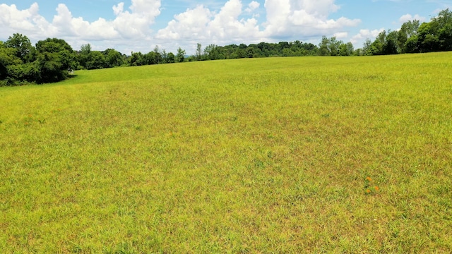 5085 Old Kentucky Rd, Morristown, TN 37814 - photo 15
