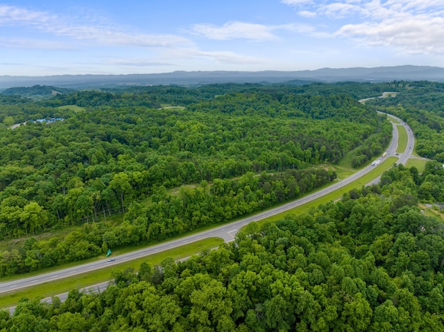 1500 S Davy Crockett Pkwy, Morristown, TN 37813