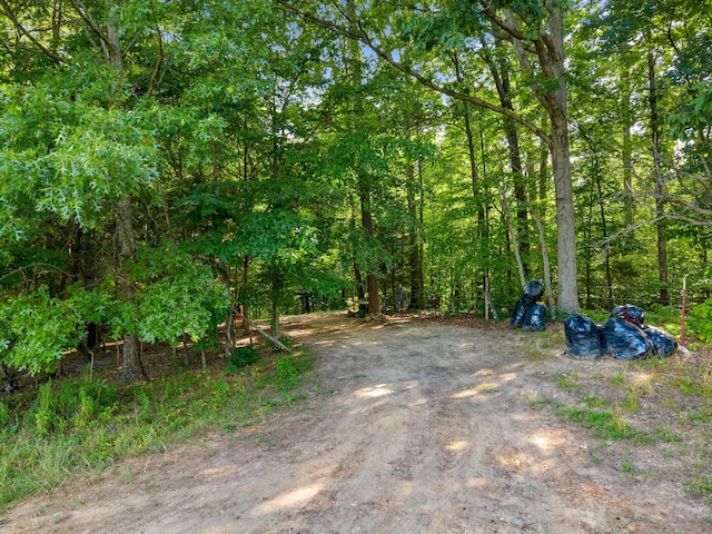 1438 Shannons Little Mtn Rd, Morristown, TN 37814 - view of dirt / gravel road