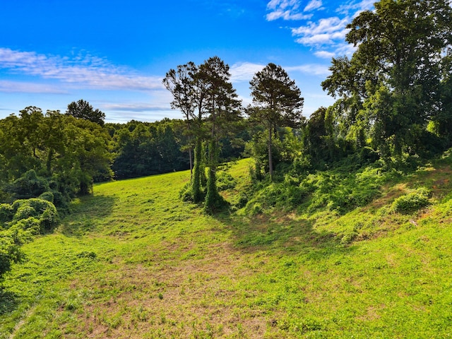 1438 Shannons Little Mtn Rd, Morristown, TN 37814 - view of wooded area