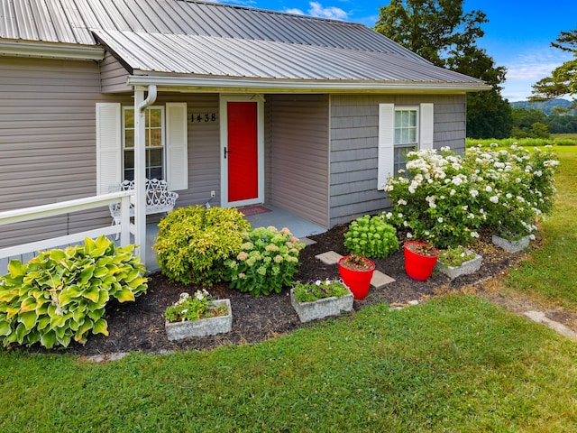 1438 Shannons Little Mtn Rd, Morristown, TN 37814 - view of exterior entry featuring a metal roof, a porch, and a lawn