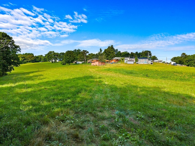 1438 Shannons Little Mtn Rd, Morristown, TN 37814 - view of yard