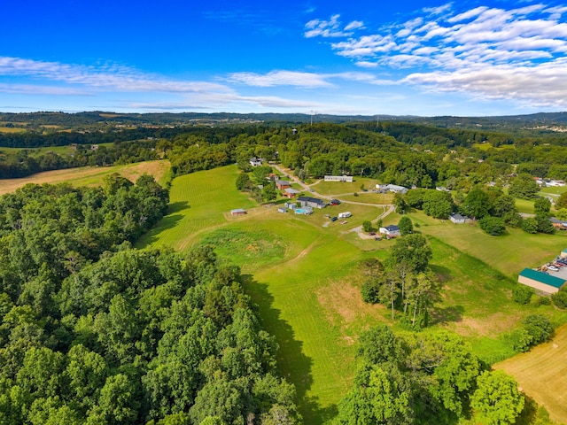 1438 Shannons Little Mtn Rd, Morristown, TN 37814 - view of property location featuring a forest