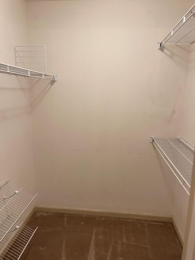 1412 Secreretariat Dr, Morristown, TN 37814 - spacious closet featuring carpet floors