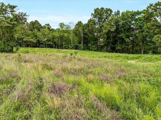 0 Ostrich Ln, Rutledge, TN 37861