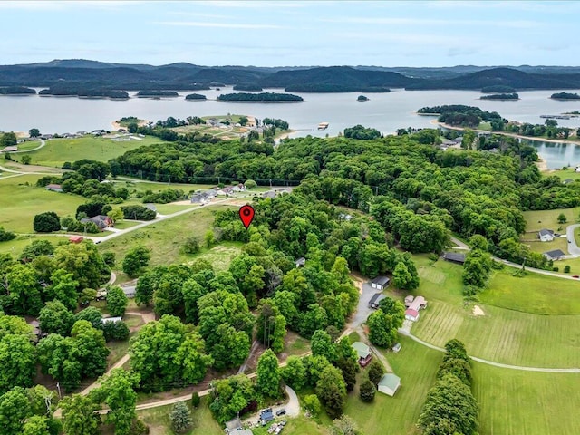 0 Ostrich Ln, Rutledge, TN 37861