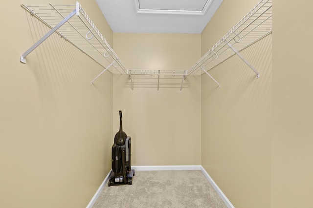 spacious closet featuring carpet floors