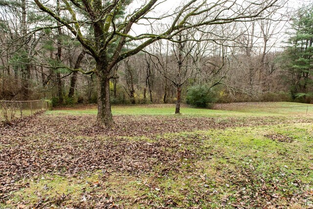 328 Highland Dr, Morristown, TN 37813 - photo 40