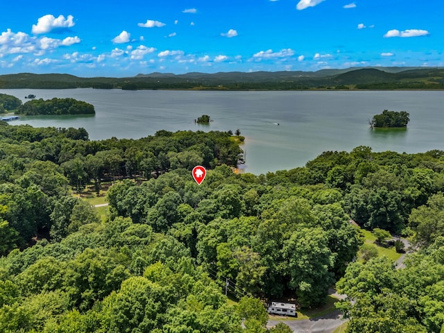487 Heather Brook Dr, Jefferson City, TN 37760 - photo 43