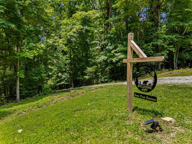 487 Heather Brook Dr, Jefferson City, TN 37760 - photo 44