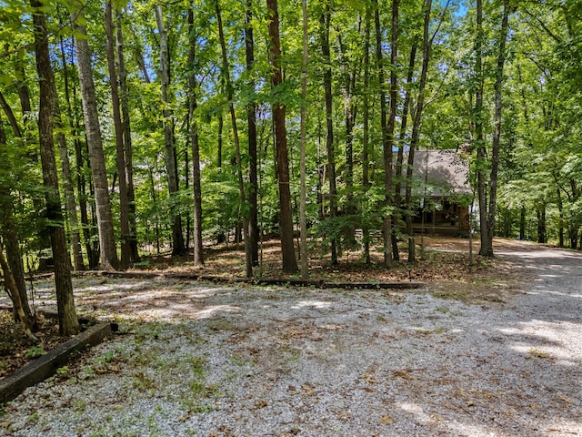 487 Heather Brook Dr, Jefferson City, TN 37760 - photo 45