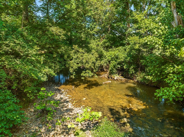 5704 Long Creek Rd, Morristown, TN 37813 - view of local wilderness