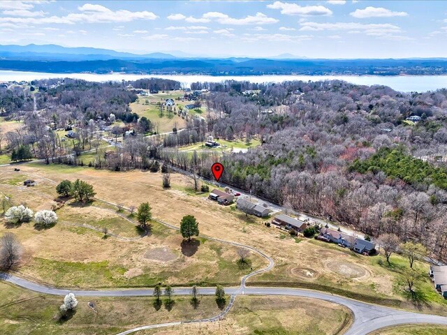 156 Back Nine Dr, Baneberry, TN 37890 - photo 28