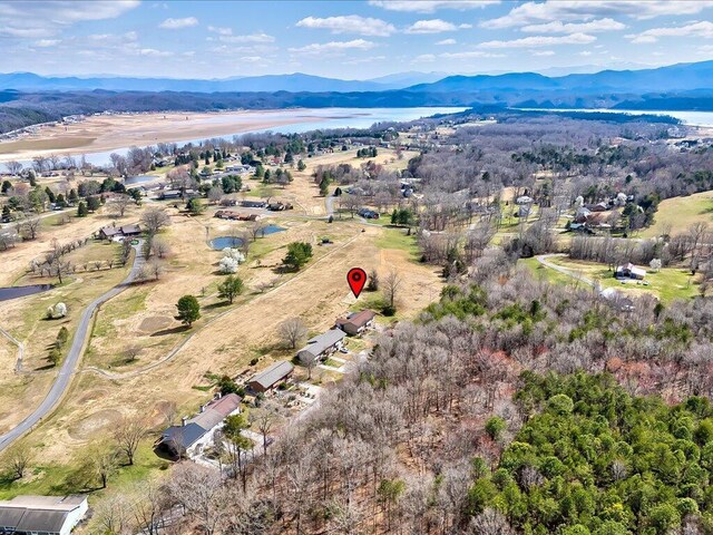 156 Back Nine Dr, Baneberry, TN 37890 - photo 29
