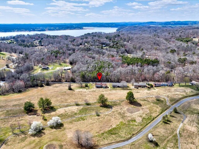 156 Back Nine Dr, Baneberry, TN 37890 - photo 27