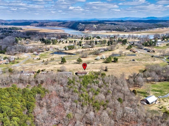 156 Back Nine Dr, Baneberry, TN 37890 - photo 2