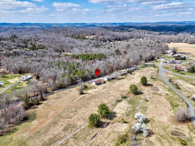 156 Back Nine Dr, Baneberry, TN 37890 - photo 31