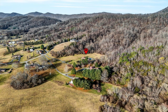 aerial view with a mountain view