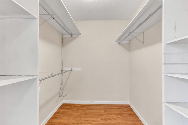 walk in closet with light wood-type flooring