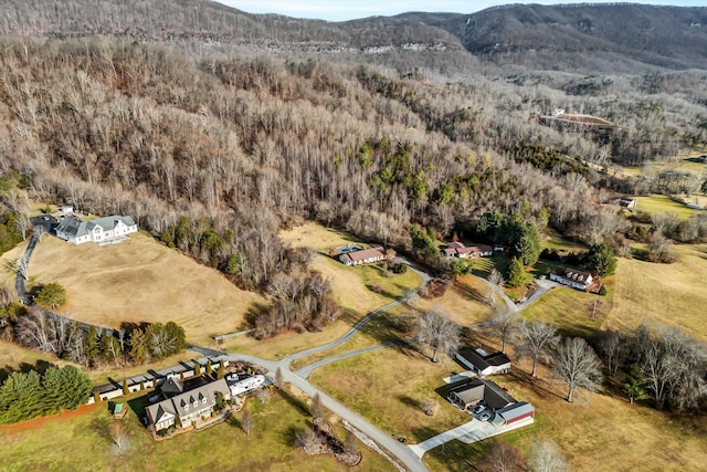 aerial view with a mountain view