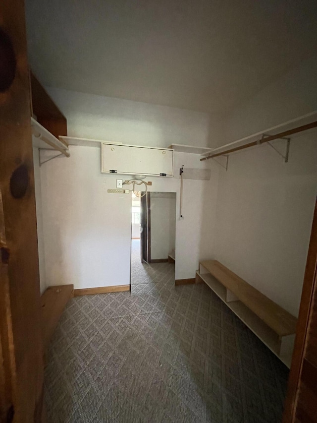 1830 Pheasant Crossing Dr, Dandridge, TN 37725 - walk in closet featuring dark carpet
