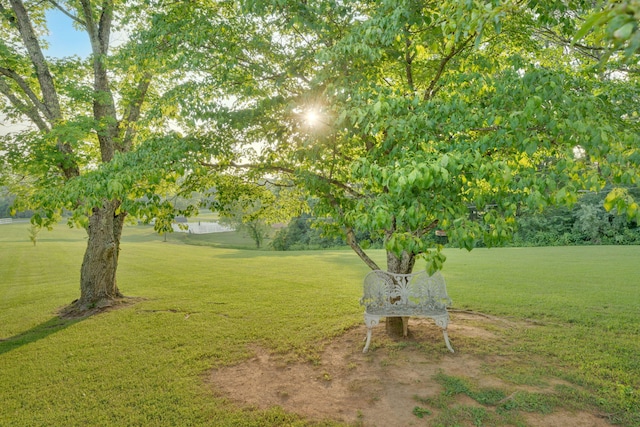 1216 Winding Dr, Sevierville, TN 37876 - view of grassy yard
