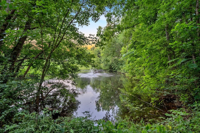 1216 Winding Dr, Sevierville, TN 37876 - water view with a heavily wooded area
