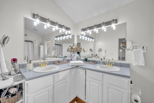 1216 Winding Dr, Sevierville, TN 37876 - bathroom with lofted ceiling and double vanity