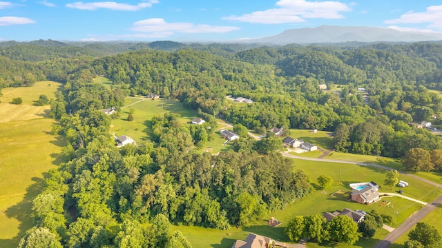 1216 Winding Dr, Sevierville, TN 37876 - aerial view of a forest and mountains