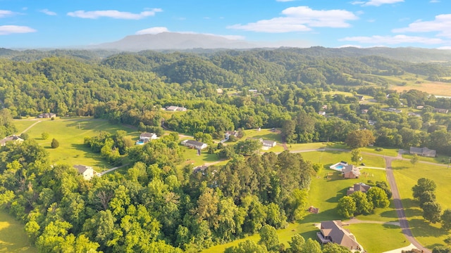 1216 Winding Dr, Sevierville, TN 37876 - aerial view of property's location featuring a heavily wooded area and a mountainous background
